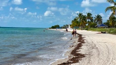 The unexpected ways Florida's anti-blogger proposal actually benefit liberal media