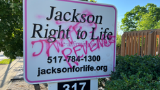 Pro-life org, congressman's campaign office vandalized in Jane's Revenge-linked attack