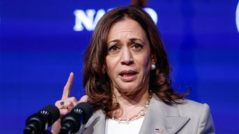 Harris campaign chair fumes about narrative she was afraid to do interviews - Fox News