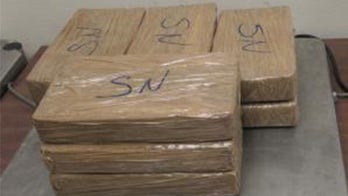 Opioid crisis: CBP seizes nearly $340K worth of fentanyl from vehicle crossing US-Mexico border