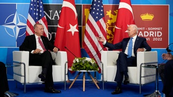 Turkey's Erdogan tells Biden he is working to secure a 'balanced' grain export agreement with Russia