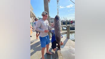 Texas fisherman spears 137-pound fish that could break world record