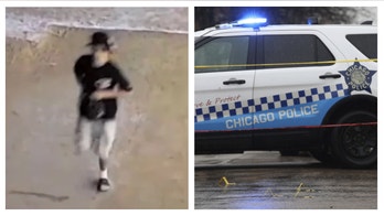 Chicago Democratic Alderman calls for metal detectors at beach following shooting