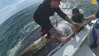 Connecticut police make dramatic boat rescue after getting help from FaceTime, video shows