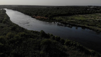 Texas Border Patrol agents nab convicted sex offenders entering US illegally