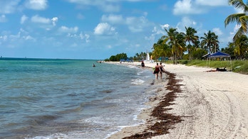 The unexpected ways Florida's anti-blogger proposal actually benefit liberal media