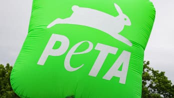 PETA skewered for claiming that people eat animals because of 'supremacy' beliefs