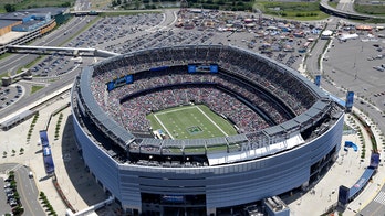 NFL players may collectively bargain for grass fields in future negotiations but it would come at a cost