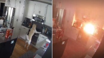 Missouri dog sets home on fire after turning on stove, video reveals