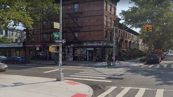 New York City grandmother killed by vehicle fleeing police: report
