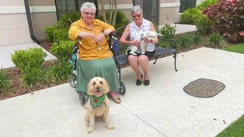 Real-life Lassie: Dog comes to owner's aid after she blacked out during walk