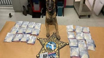 Woman visiting Florida prison brings baby, cocaine and heroin