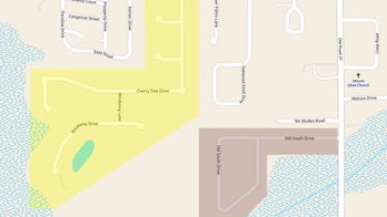 Florida burglary spree comes to an end when suspect accidentally shoots himself with stolen gun: police