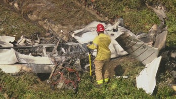 California plane crashes in strawberry field, killing pilot