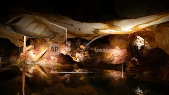 French prehistoric cave in Marseille to open new exhibit