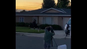 Kavanaugh suspect Roske's home raided by FBI, neighbor's video shows