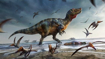 Fossils of Europe’s largest meat-eating dinosaur found on Isle of Wight