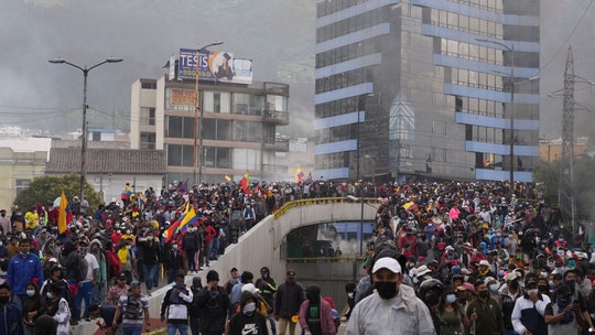 US ally Ecuador faces worsening crisis: government could collapse