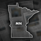 Minnesota couple survive after plane crashes into their home
