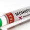 Monkeypox mutating more than previously thought, researchers say