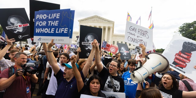 A pro-life crowd reacts outside the court on June 24, 2022, to the SCOTUS decision overturning Roe v. Wade and sending abortion back to the states.