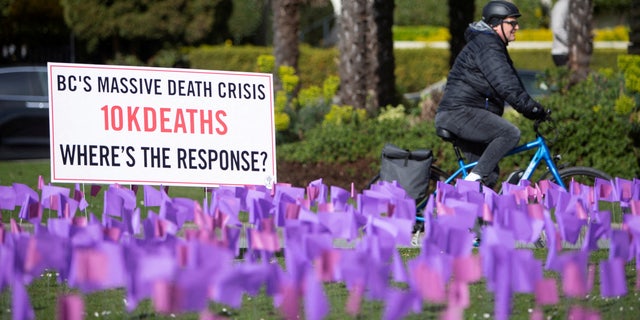 A cyclist rides past hundreds of flags symbolizing the more than 10,000 people who have died of toxic drug overdoses in British Columbia, Canada during a demonstration by the drug user advocacy group Moms Stop The Harm in Vancouver, 브리티시 컬럼비아, Canada April 14, 2022. 