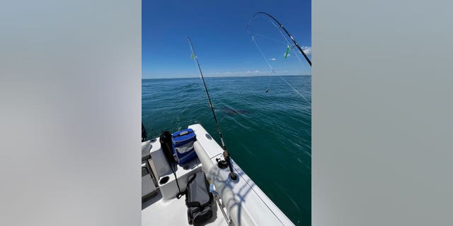 Un gran tiburón blanco se aleja nadando de los pescadores en la costa de Nueva Jersey