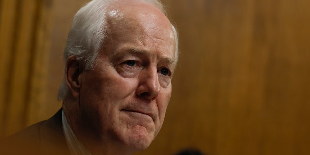 Sen. John Cornyn, R-TX, speaks during a hearing on "Protecting America's Children From Gun Violence" with the Senate Judiciary Committee at the U.S. Capitol on June 15, 2022, in Washington, DC.