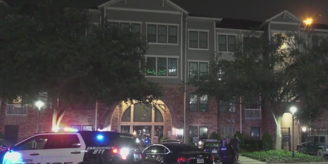 A 9-year-old Houston girl was shot in the head and killed and her mother was wounded Monday night while at home, police said.