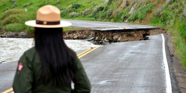 A Yellowstone National Park ranger is seen standing near a road wiped out by flooding along the Gardner River the week before, near Gardiner, Mont., June 19, 2022. Park officials said they hope to open most of the park within two weeks after it was shuttered in the wake of the floods. 
