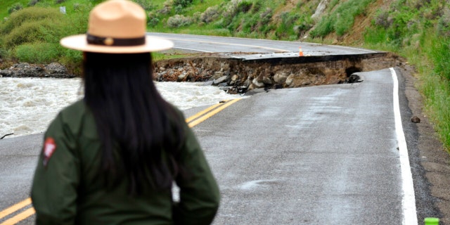 A Yellowstone National Park ranger is seen standing near a road wiped out by flooding along the Gardner River the week before, near Gardiner, Mont., June 19, 2022. Park officials said they hope to open most of the park within two weeks after it was shuttered in the wake of the floods. 