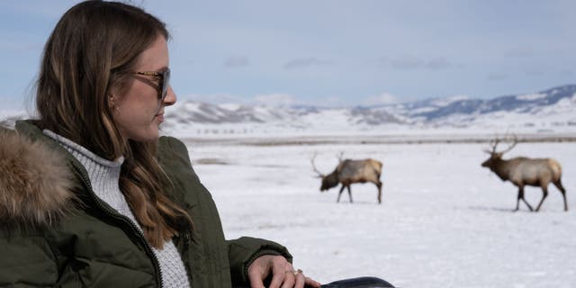 A woman observes wildlife in Wyoming while on tour with Jackson Hole Ecotour Adventures. (Jackson Hole Ecotour Adventure/Hotel Cloudveil)