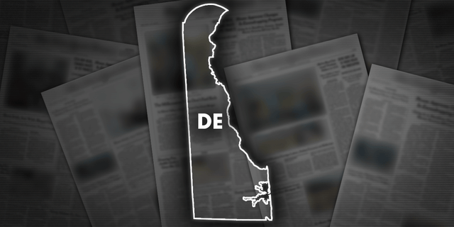 A Delaware man was killed after being pinned beneath a Ford F-350 pickup truck.