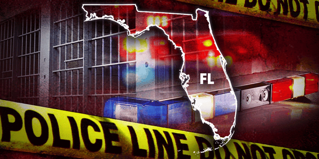 A violent domestic dispute occurred around 8:20 p.m. in the 15700 block of SW 248 Street in Homestead, Florida, on Friday, the Miami-Dade Police Department said.