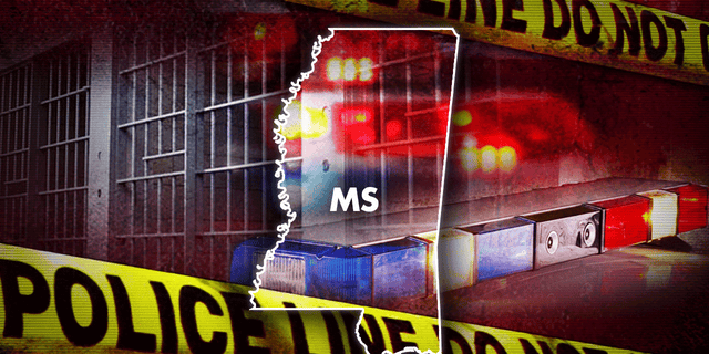 A former Mississippi paramedic has been sentenced to 40 years with no parole for assaulting patients.