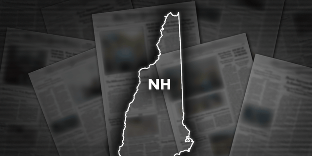 A driver was killed in a multi-vehicle accident in New Hampshire.