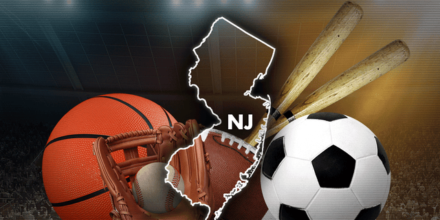 New Jersey sports teams, new Jersey Devils