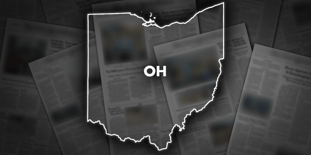 Naser Almadaoji of Ohio was sentenced to 10 years in jail for his plans to train alongside Afghan Islamic State militants.