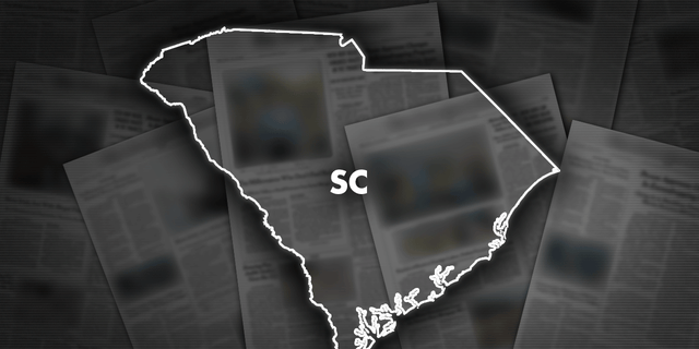 El fiscal general de Carolina del Sur, Alan Wilson, y 22 fiscales estatales republicanos instan al Congreso a aprobar una ley que bloquee los teléfonos móviles ilegales utilizados por los presos. 