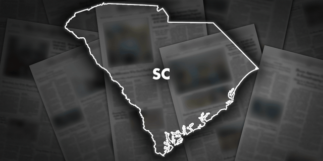 South Carolina Attorney General Alan Wilson and 22 Republican state prosecutors urge Congress to pass legislation jamming illegal cellphones used by prisoners. 