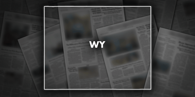 Wyoming highway crashes caused by wrong-way driver
