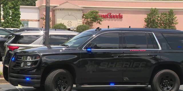 The incident happened at a HomeGoods store in Alpharetta, Georgia.