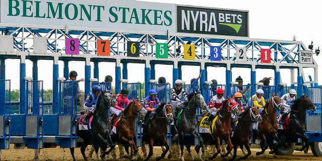 Horses leave the starting gate during the 154th running of the Belmont Stakes horse race Saturday, Junie 11, 2022, at Belmont Park in Elmont, N.Y.. Mo Donegal (6), with jockey Irad Ortiz Jr., won the race. 