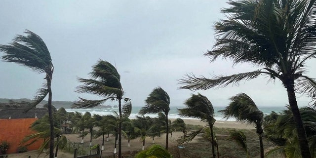 Palm trees sway in the wind as Hurricane Agatha pounds the southern coast of Mexico, in Puerto Escondido, Oaxaca state, Mexico, May 30, 2022. 