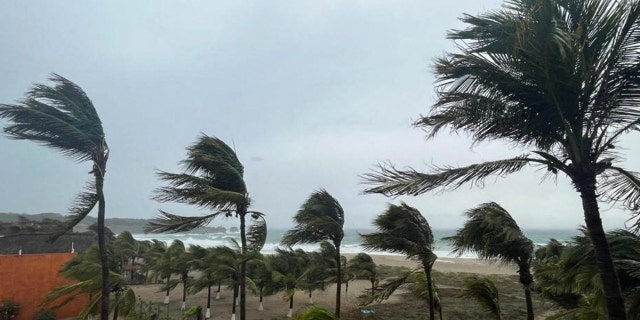 Palm trees sway in the wind as Hurricane Agatha pounds the southern coast of Mexico, in Puerto Escondido, Oaxaca state, Mexico, May 30, 2022. 