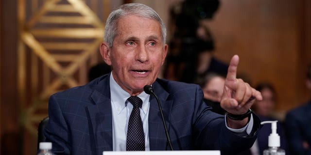 Anthony Fauci, director of the National Institute of Allergy and Infectious Diseases, admitted Wednesday that the COVID-19 lockdowns were 
