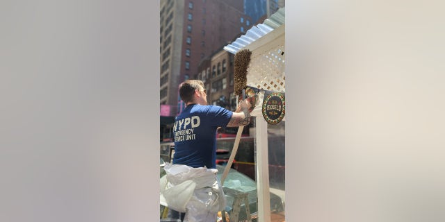 NYPD beekeepers were called to the scene and safely removed the bees on Sunday.