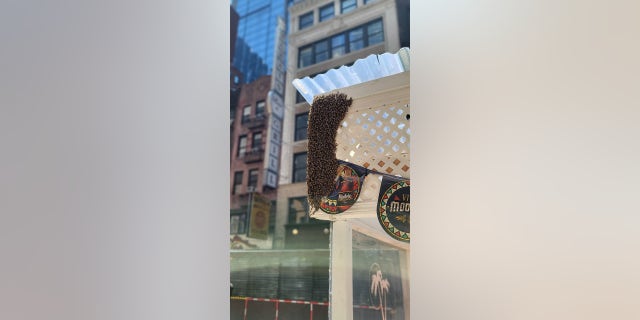 About 2,000 bees swarmed a restaurant in New York City's Times Square on Sunday. 