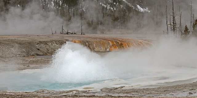 Black Sand Basin, the area where a bison gored a woman who got too close to it on Monday, is located just north of Old Faithful.