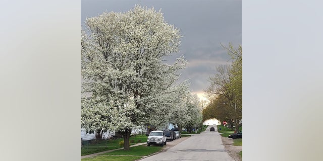 Barnes found the people in Illinois to be "very welcoming." He took this picture in Cayuga, Illinois. 